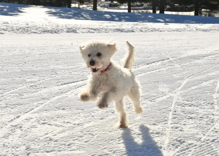 Mit Herrlicher Aussicht In Berge By Interhome * Braunlage