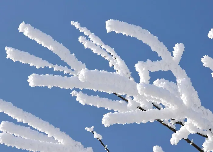 Apartment Mit Herrlicher Aussicht In Berge By Interhome