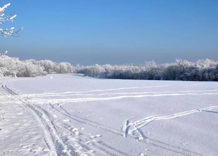 Mit Herrlicher Aussicht In Berge By Interhome Apartment