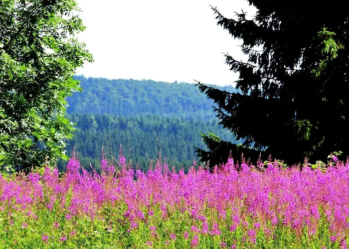 Mit Herrlicher Aussicht In Berge By Interhome * Braunlage
